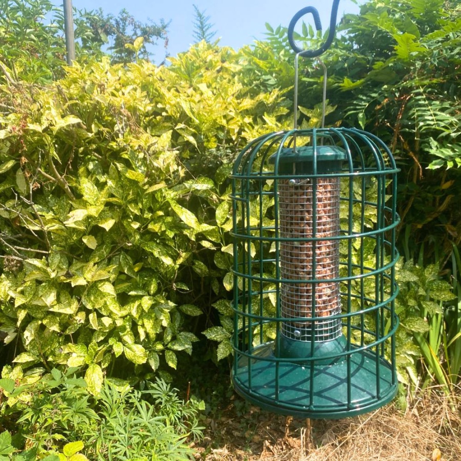 Premium Guardian - Nut Feeder for Birds